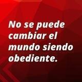 Jessica Ledezma M.
