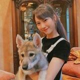 Abelle