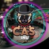 Cas inu (china) 🇨🇳