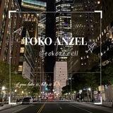 TOKO ANZEL