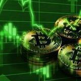 Crypto grow