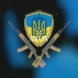 Azov Regiment`°~