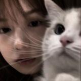 - 𝙟𝙪𝙨𝙩 𝙣𝙤𝙩𝙝𝙞𝙣𝙜 .