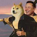 Doge on classic