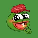 The Baby Pepe Portal