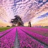 حديقة التائبين و الدعوة السلفية 🌾