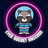 EverRocketRaccoon