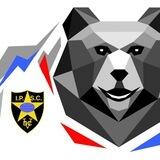 Практическая стрельба из пневматического пистолета IPSC