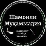 Шамоили муҳаммадия