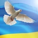 Help UKRAINE in DRESDEN und Sachsen