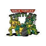 NinjaTurtles India🇮🇳