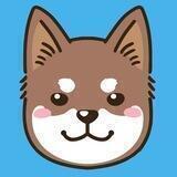 Shikoku Inu (SHIKOKU)