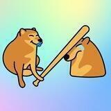 Baby Doge Bonk Portal