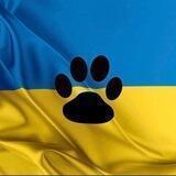 Ukraine - Tierhilfe Berlin