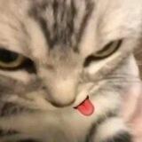 <Hihihihilyjungwonhihi3