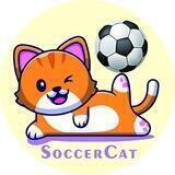 SoccerCat 🇻🇳 Vietnam