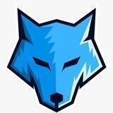 Safe Wolfy