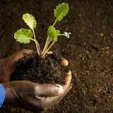 Agro green space service