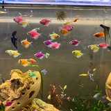Подводное царство 🐟