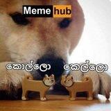 මීම්හබ් කොල්ලෝ කෙල්ලෝ