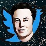 ElonTweeted