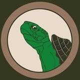 TORTOISE INU 🐢