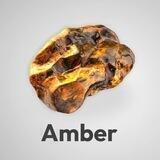 AmberDAO - Airdrop Secret Network