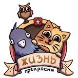Жизнь прекрасна!