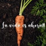 🥕SANAAHORA5X5🥕 DR LUDWIG JOHNSON