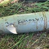 Веселий кабанчік