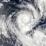 HURRICANE IAN RECOVERY: Don’t Tread on Florida! 🐊