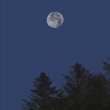 MoonMyFoll