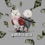 Ronin Is Rich BSC - Stealth Launch