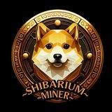 Shibarium Miner | Building The Shibarium's Miner