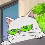 Saiki K []