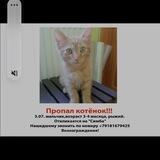 Поиск животных