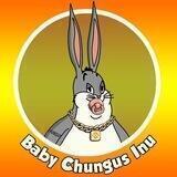 BABY CHUNGUS INU! 4% CHUNGUS REWARDS!