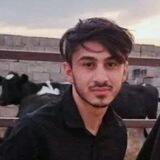 کیر شودی🗿
