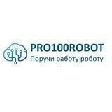 PRO100ROBOT INFO