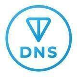 TON DNS TRACKER