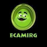 ECAMIRG - Portal