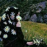 Romolim reklama🖤