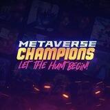 MetaVerse NfT Hunt 🧚🏻‍♀️