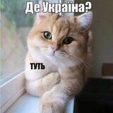Всратість головного мозку