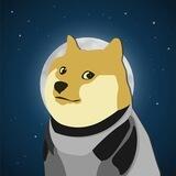 DOGE-1 MISSION | ERC20 | PORTAL