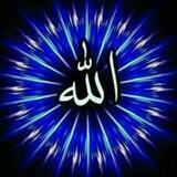SUPER_TEST_BAZA 🌷