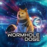 WORMHOLE DOGE PORTAL