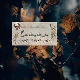 فديوهات صوتيات قرآنية 🇵🇸
