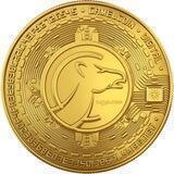 CAMELCOIN CHANNEL