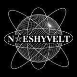 NSVT PARTNERSHIP